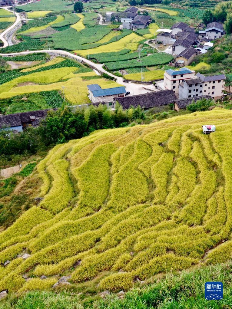 太阳城游戏[中国]官方网址
